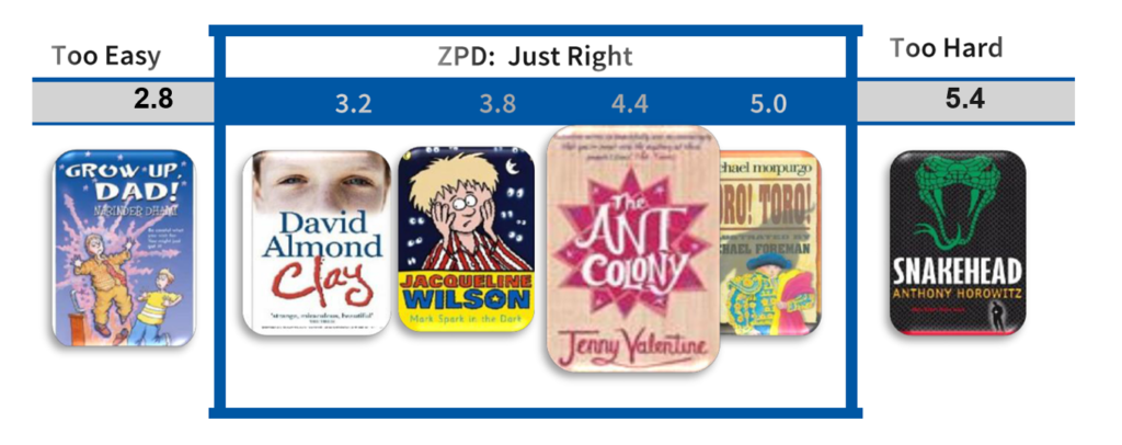 Range of books in order of reading ability with a box around the books that are just right for the student